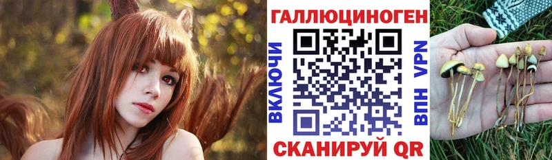 где найти   Зеленогорск  Псилоцибиновые грибы мухоморы 