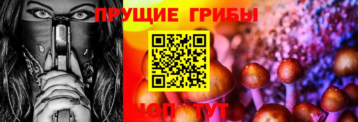 Псилоцибиновые грибы Cubensis  Вход с VPN  Зеленогорск 